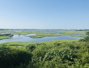 Summer Scenic View of the Creeks