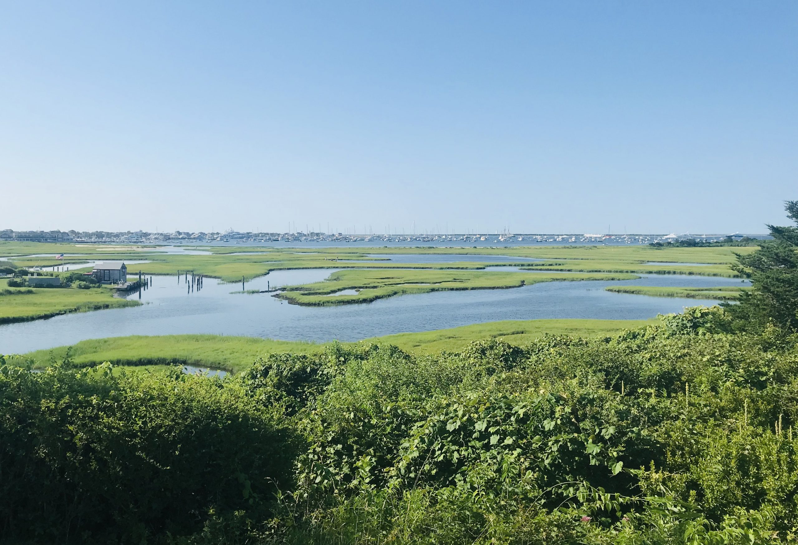 The Creeks Preserve Nantucket Land Bank