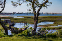 A visitor enjoying the Creeks Preserve view from a hammock