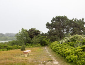 Burchell Farm bench