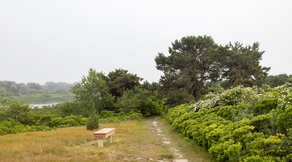 Burchell Farm bench