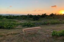 West End Overlook Bench