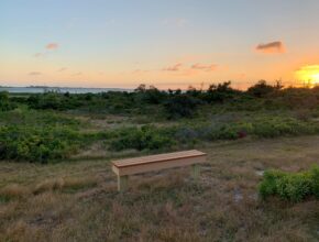 West End Overlook Bench