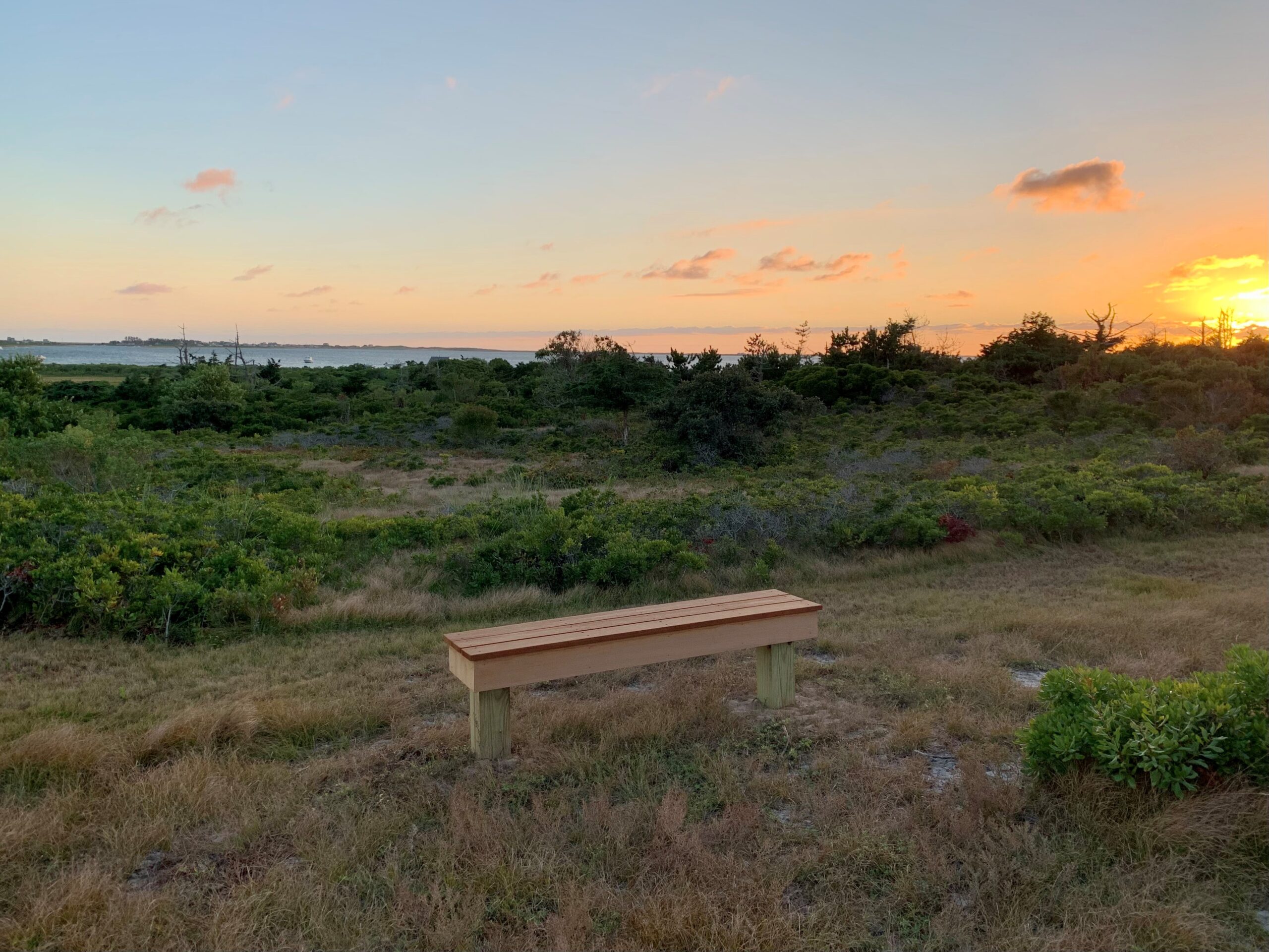 Wood bench sunset hrz