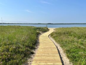 Sesachacha Pond Boardwalk