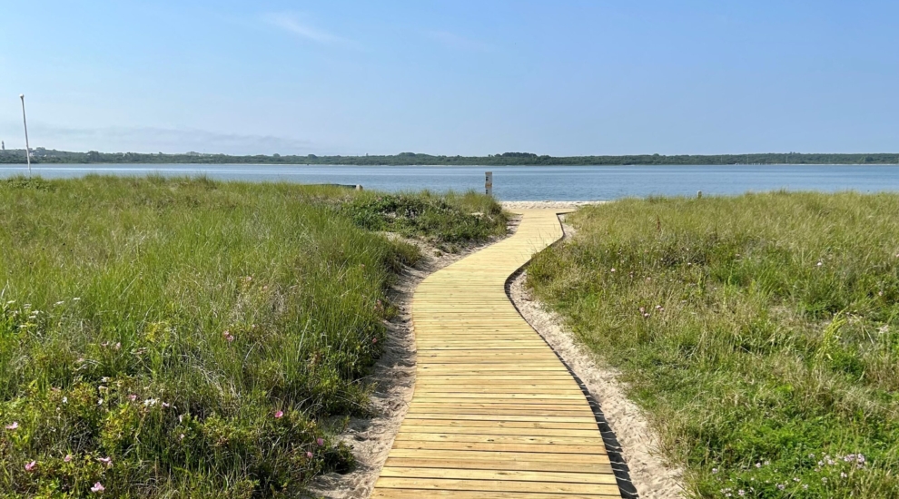 boardwalk crop