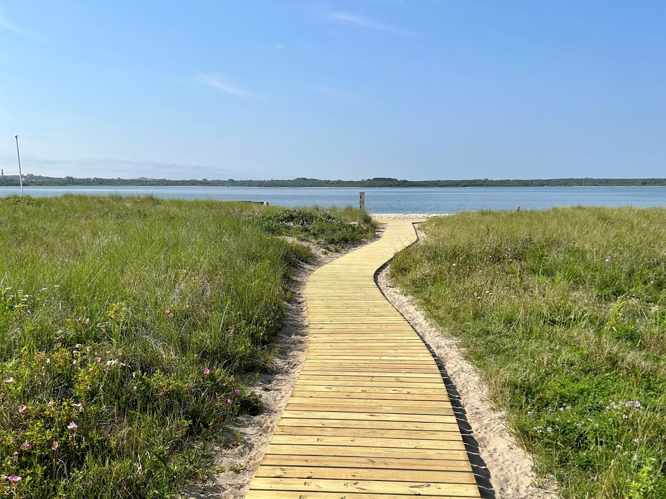 boardwalk crop