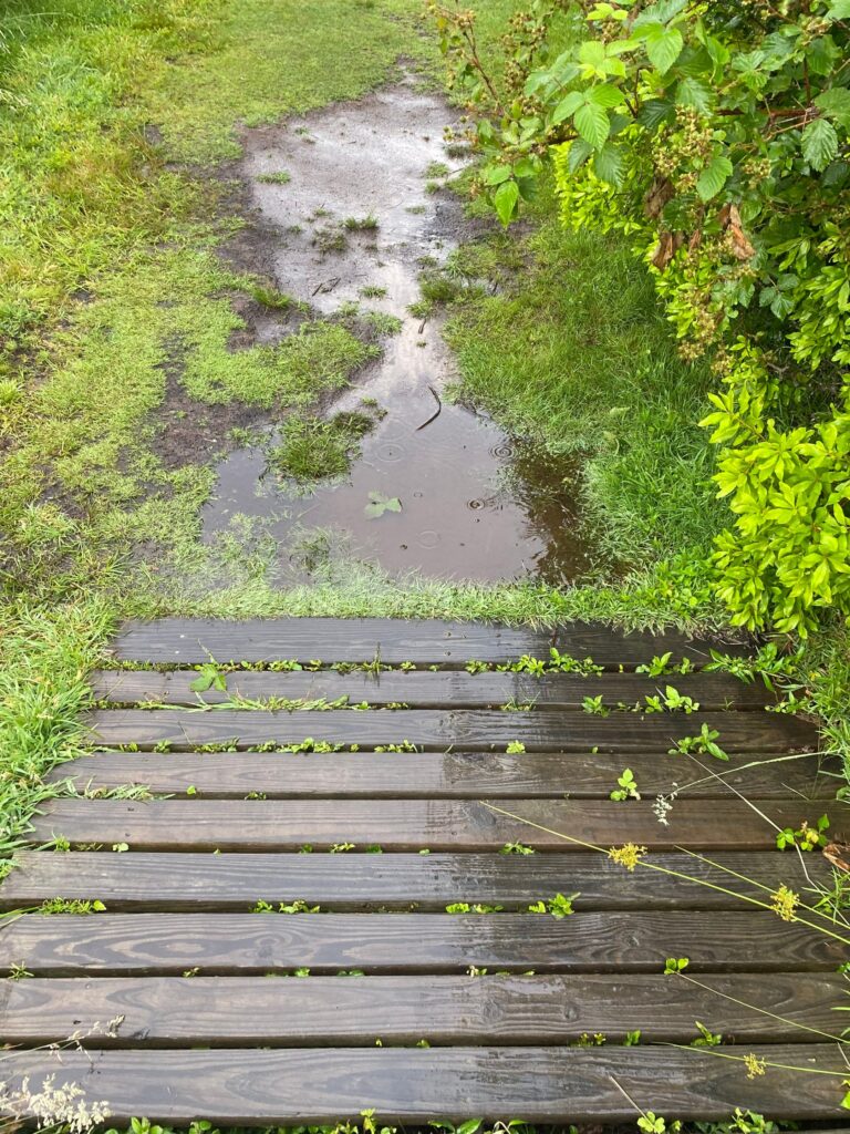 Flooding at Lily Pond Park boardwalk