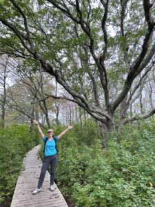 Guthrie with the Oak Tree at Burchell Farm